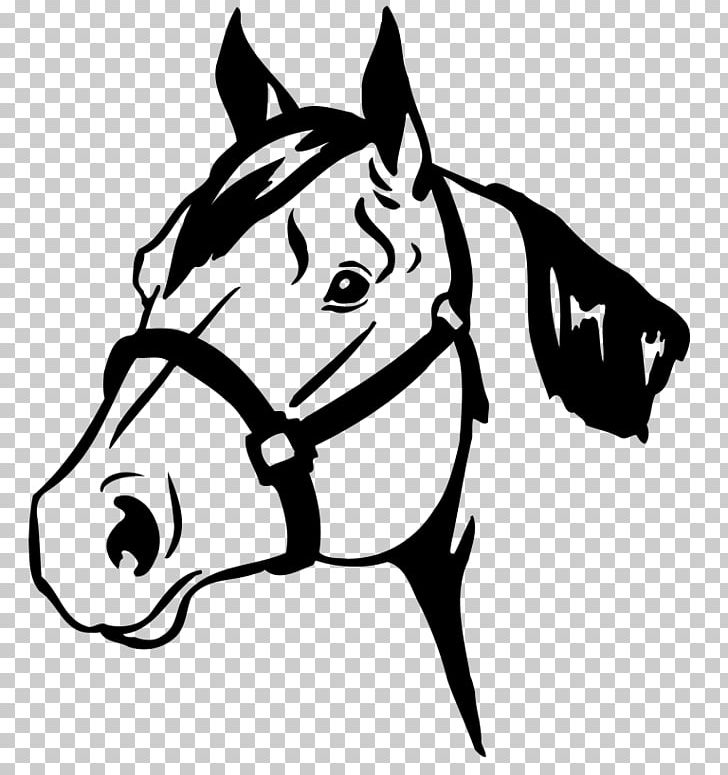 Horse Show Horse Safety Equestrian 4-H PNG, Clipart, Animals, Black, Dog Like Mammal, Fictional Character, Head Free PNG Download