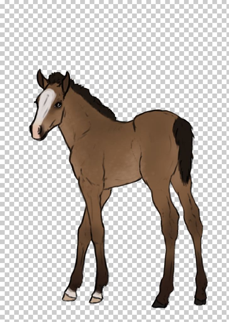 Mustang Foal Stallion Rein Mare PNG, Clipart, Bit, Bridle, Colt, Foal, Halter Free PNG Download