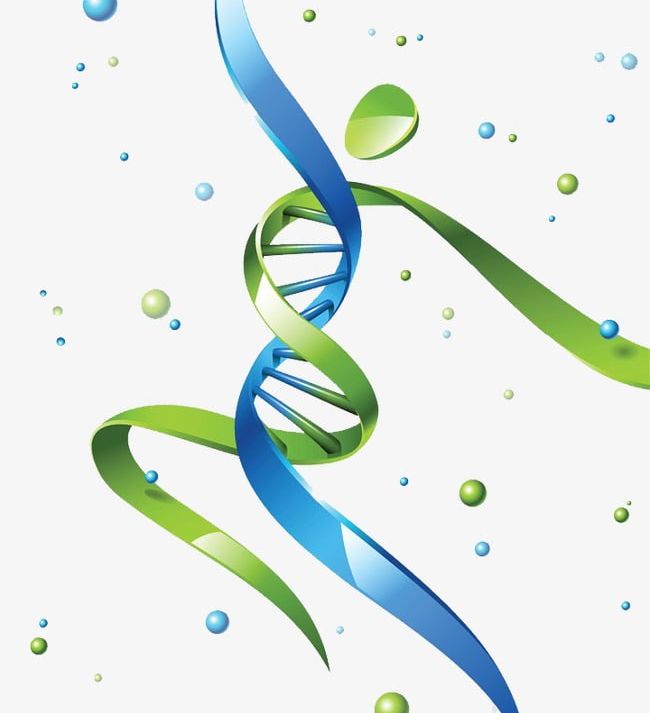 Dna Genetic Medical Background PNG, Clipart, Background, Dna, Dna Clipart, Dna Gene, Gene Free PNG Download