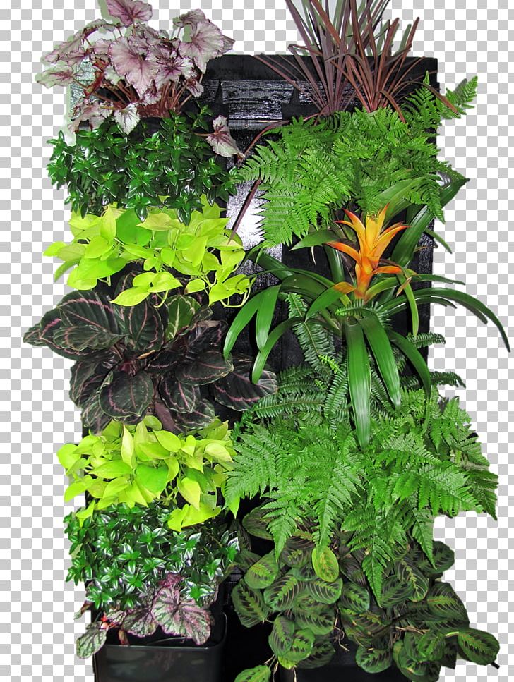 Houseplant Green Wall Garden Flowerpot PNG, Clipart, Flower, Flowerpot, Forest Gardening, Garden, Green Wall Free PNG Download