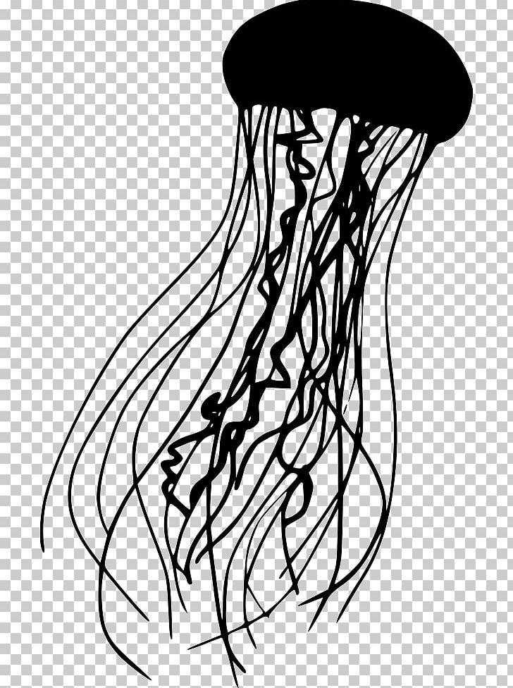 Jellyfish PNG, Clipart, Jellyfish Free PNG Download