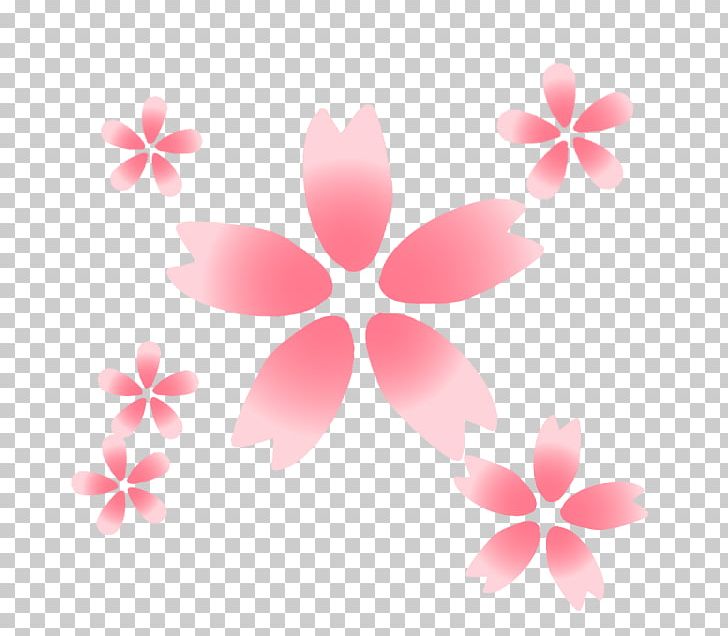 Petal Flower Photography Cherry Blossom PNG, Clipart, Blossom, Cherry Blossom, Color, Color Gradient, Computer Free PNG Download