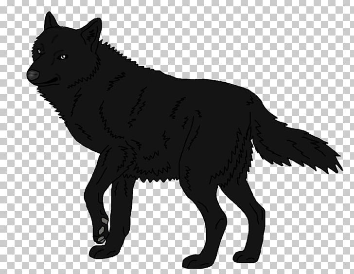 Schipperke Arctic Wolf Mexican Wolf Black Wolf Arctic Fox PNG, Clipart, Animal, Animals, Arctic Fox, Arctic Wolf, Black Free PNG Download