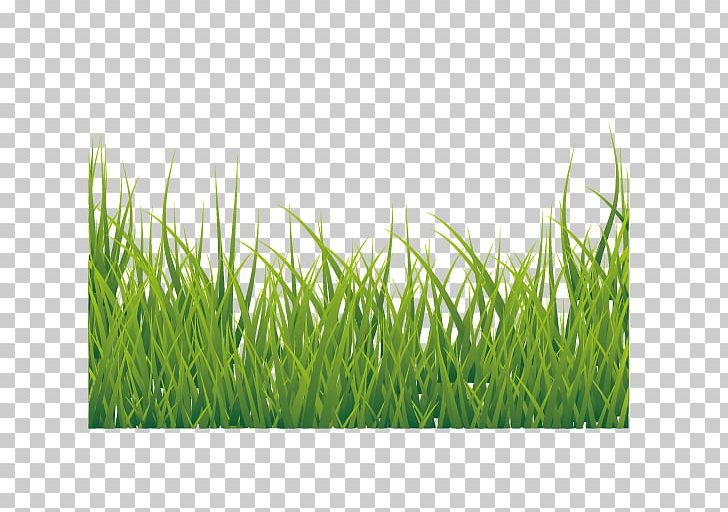 Euclidean Icon PNG, Clipart, Adobe Illustrator, Background Green, Cartoon Grass, Computer Wallpaper, Download Free PNG Download