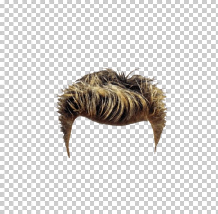 Hair Suit Editing PNG, Clipart, Android, Claw, Editing, Fashion, Feather Free PNG Download