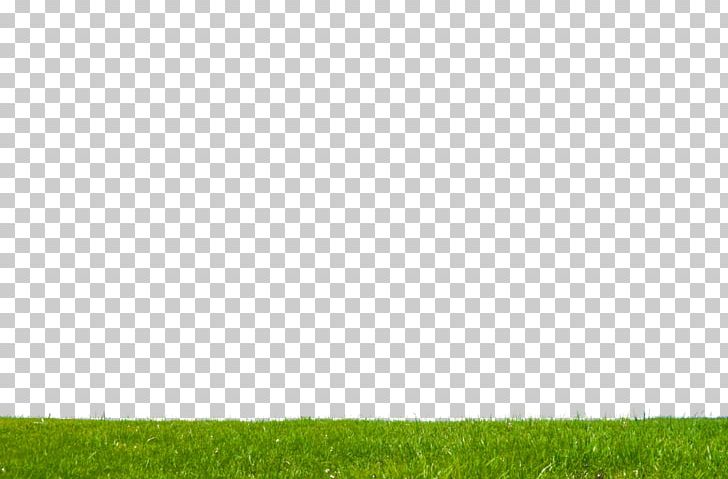 Lawn Crop Grassland Land Lot Field Museum Of Natural History PNG, Clipart, Agriculture, Crop, Deviantart, Family, Field Free PNG Download