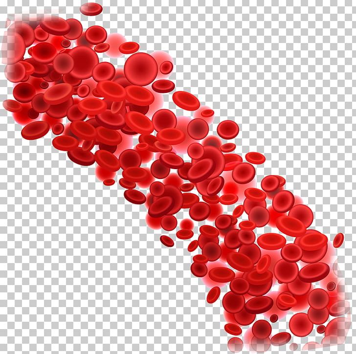 Red Blood Cell White Blood Cell PNG, Clipart, Artery, Blood, Blood Cell, Blood Vessel, Cell Free PNG Download