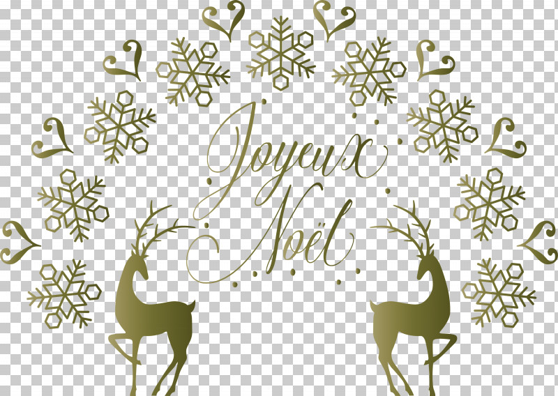 Noel Nativity Xmas PNG, Clipart, Antler, Christmas, Deer, Flora, Flower Free PNG Download