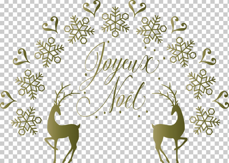 Noel Nativity Xmas PNG, Clipart, Antler, Christmas, Deer, Flora, Flower