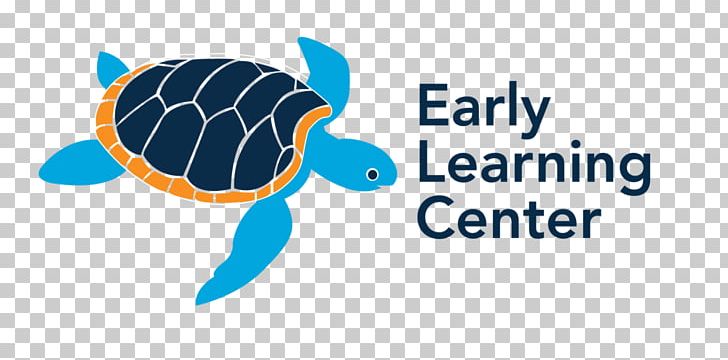 Logo Top Shelf: Essential Learning For The Internal Medicine Clerkship Brand Sea Turtle PNG, Clipart, Animals, Brand, Cape, Computer Wallpaper, Conrad Fischer Free PNG Download