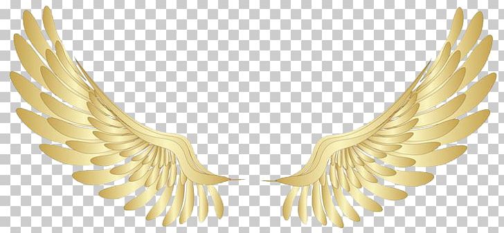 Wings PNG, Clipart, Wings Free PNG Download