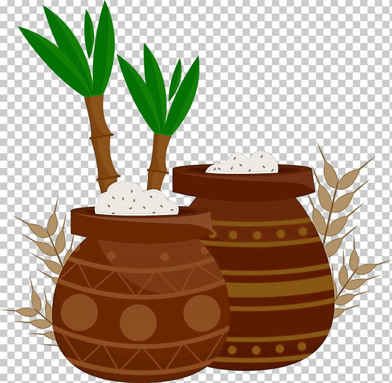 Pongal PNG, Clipart, Biology, Flowerpot, Plants, Pongal, Science Free PNG Download