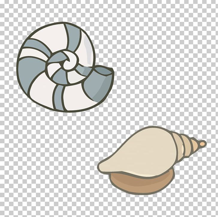 Mug Orthogastropoda PNG, Clipart, Circle, Coffee Cup, Conch, Conch Vector, Handpainted Flowers Free PNG Download