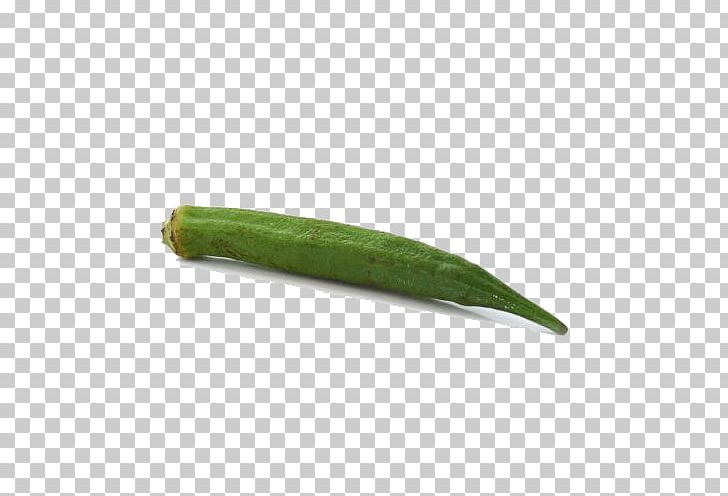 Okra Vegetable Cucumber Green PNG, Clipart, 1000000, Cucumber, Food Drinks, Fruit, Google Images Free PNG Download