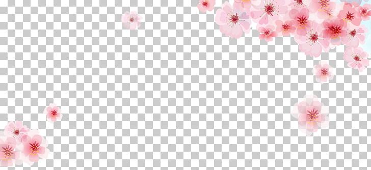 Pink Cherry Blossom Flower PNG, Clipart, Blossoms Vector, Border Frame, Christmas Frame, Drawing, Encapsulated Postscript Free PNG Download