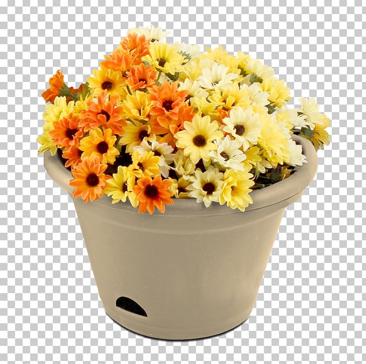 Transvaal Daisy Floral Design Flowerpot Cut Flowers PNG, Clipart, Artificial Flower, Cannabis, Chrysanthemum, Chrysanths, Cut Flowers Free PNG Download