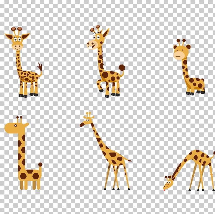 Northern Giraffe PNG, Clipart, Animals, Cartoon, Cute Animal, Cute Animals, Cute Border Free PNG Download