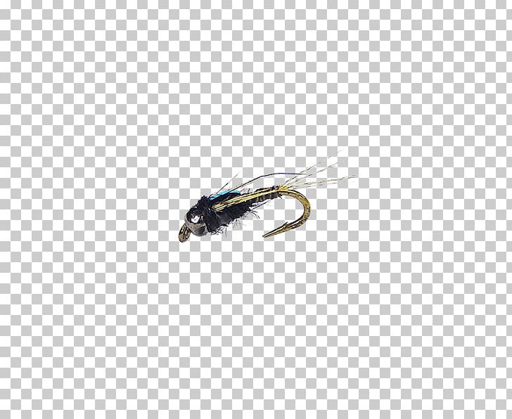 Pest PNG, Clipart,  Free PNG Download