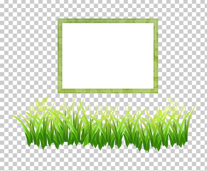 Euclidean Herbaceous Plant PNG, Clipart, Area, Border, Border Frame, Border Vector, Certificate Border Free PNG Download