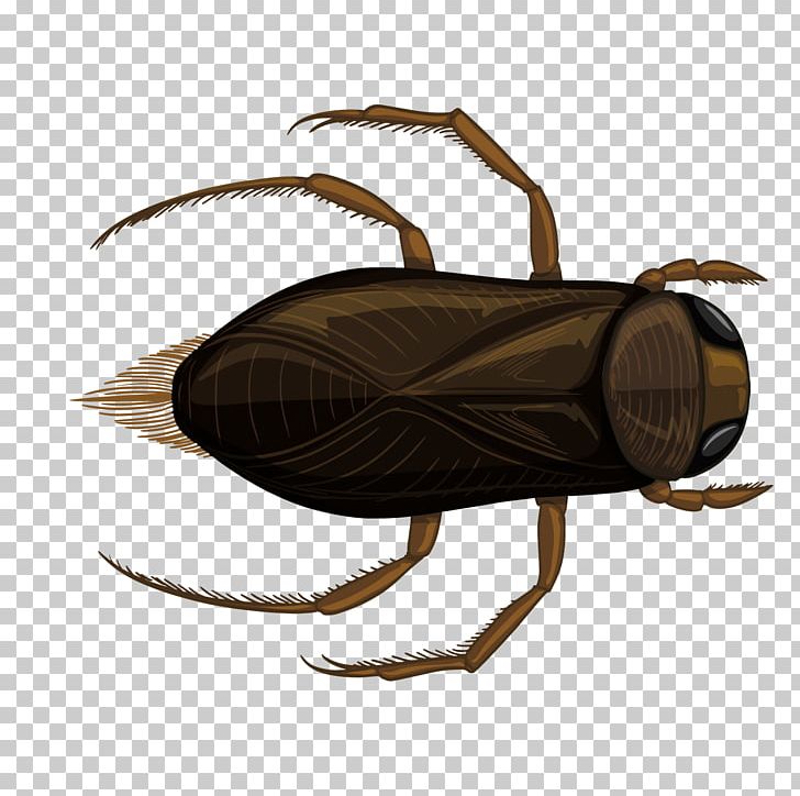 Insect Illustration PNG, Clipart, Arthropod, Bucket, Cricket Wicket, Encapsulated Postscript, Happy Birthday Vector Images Free PNG Download