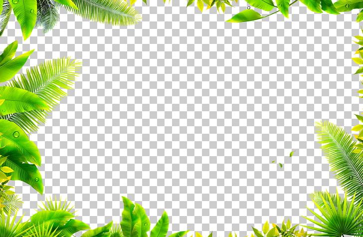 Leaf Computer File PNG, Clipart, Border Texture, Color, Computer File, Computer Software, Computer Wallpaper Free PNG Download