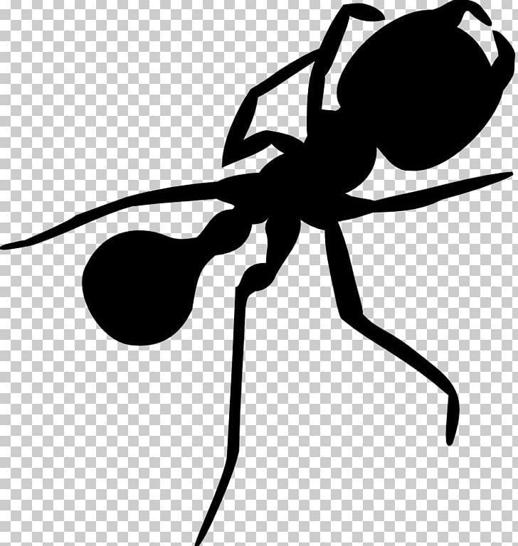 Ant Silhouette PNG, Clipart, Animal, Animals, Ant, Art, Arthropod Free PNG Download