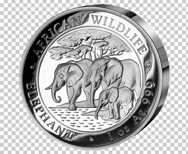 Elephantidae African Elephant Coin Silver Somalia PNG, Clipart, Africa, African Elephant, Black And White, Coin, Currency Free PNG Download
