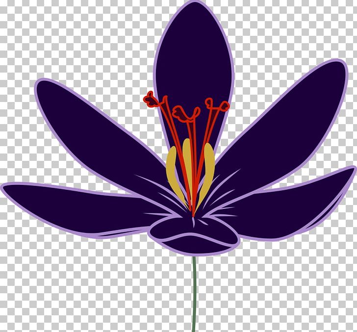 Saffron Flower Crocus Flavus PNG, Clipart, Clip Art, Crocus, Crocus Flavus, Encapsulated Postscript, Flower Free PNG Download