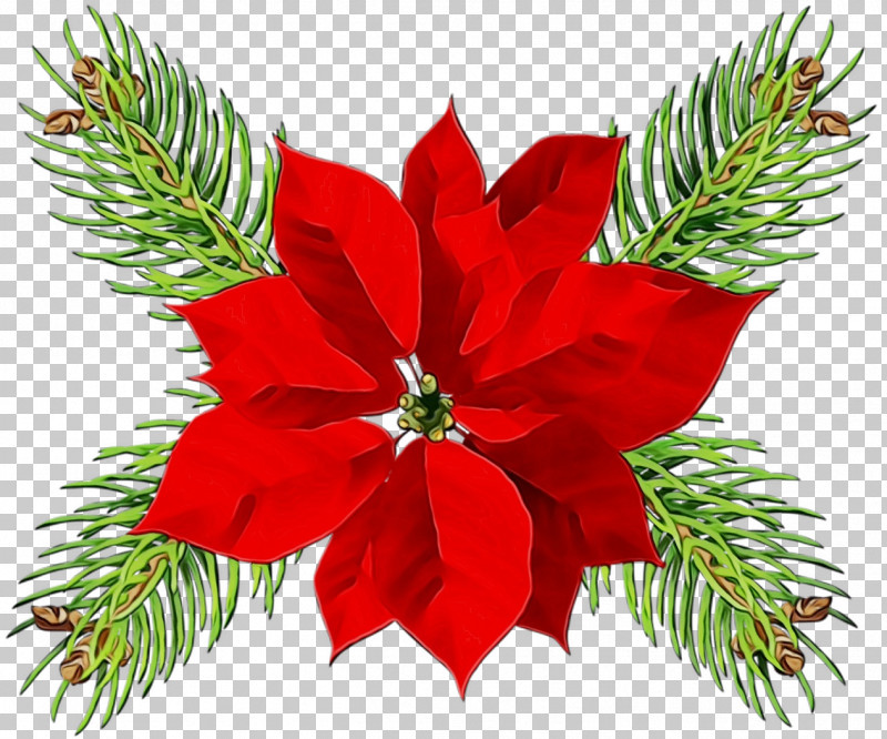 Christmas Decoration PNG, Clipart, Christmas Decoration, Christmas Ornament, Colorado Spruce, Flower, Leaf Free PNG Download