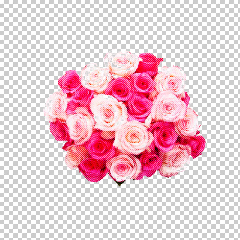 Garden Roses PNG, Clipart, Bouquet, Cut Flowers, Flower, Garden Roses, Pink Free PNG Download