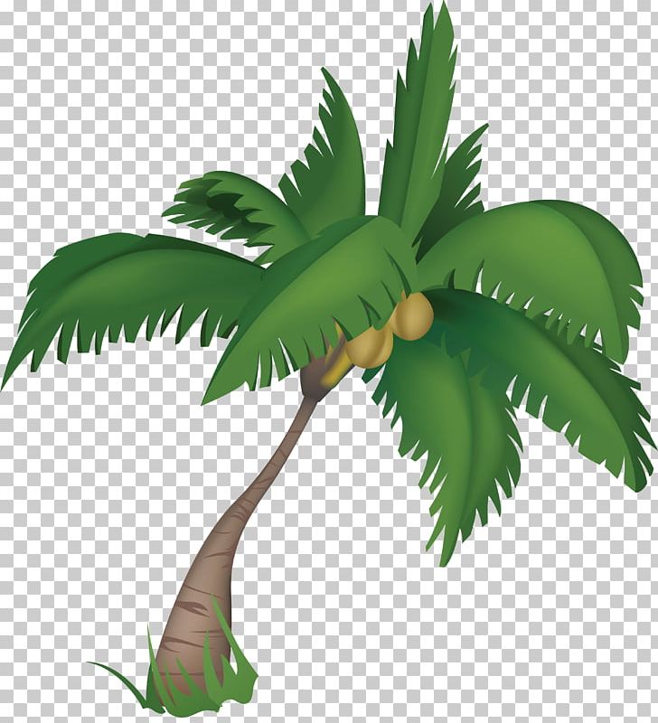 Arecaceae Attalea Princeps Tree Plant PNG, Clipart, African Oil Palm, Arecaceae, Arecales, Attalea Princeps, Branch Free PNG Download