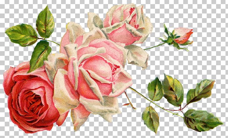Cut Flowers Floral Design PNG, Clipart, Artificial Flower, Bud, Cut Flowers, Floral Design, Floribunda Free PNG Download