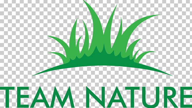 Leaf Logo Grasses Font PNG, Clipart, Family, Grass, Grasses, Grass Family, Green Free PNG Download