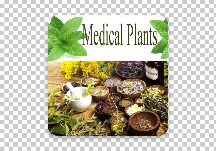Medicine Medicinal Plants Alternative Health Services Herbalism PNG, Clipart, Alternative Health Services, Apk, Ayurveda, Disease, Doctor Of Medicine Free PNG Download