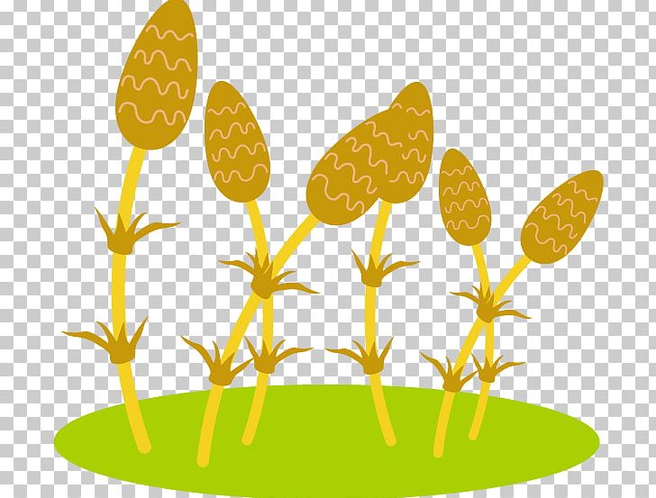 Six Illustrations And Green Grass Illustration. PNG, Clipart, Aged Care, Animals, Artwork, Bear, Butterfly Free PNG Download