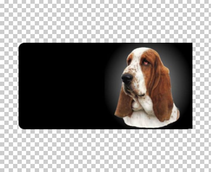 Basset Hound Basset Artésien Normand Puppy Dog Breed Vehicle License Plates PNG, Clipart, Animals, Basset Artesien Normand, Basset Hound, Breed, Carnivoran Free PNG Download