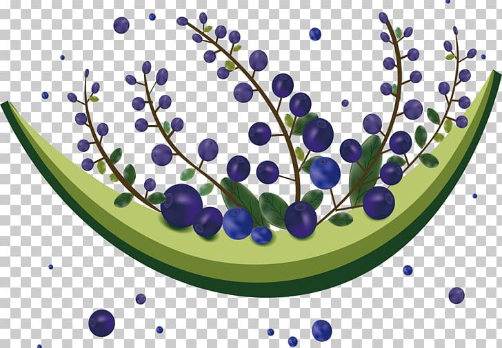 Blueberry Designer Euclidean PNG, Clipart, Adobe Illustrator, Blueberries, Blueberries Vector, Blueberry Fruit, Blue Fruit Free PNG Download