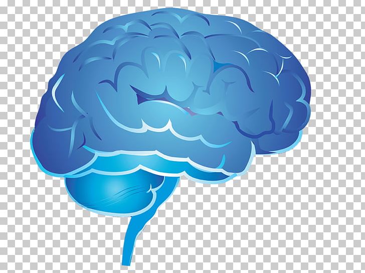 Psychology Brain Learning Thought PNG, Clipart, Agy, Behavior, Biology, Brain, Cerebrum Free PNG Download