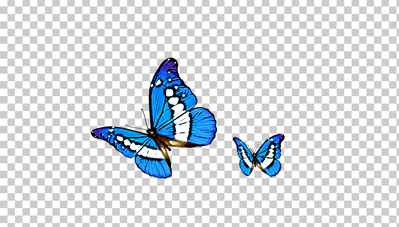 Monarch Butterfly PNG, Clipart, Brushfooted Butterflies, Butterflies, Human Body, Jewellery, Lepidoptera Free PNG Download