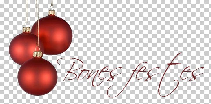Christmas Ornament Party Mare De Déu Del Portal New Year PNG, Clipart, 2016, 2017, 2018, Als, Bon Free PNG Download