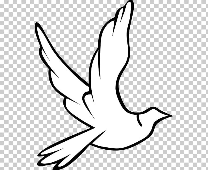 Columbidae Doves As Symbols Holy Spirit PNG, Clipart, Area, Art, Artwork, Beak, Bird Free PNG Download