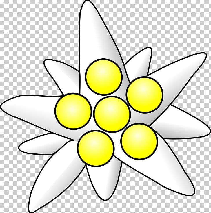 Edelweiss PNG, Clipart, Edelweiss Free PNG Download