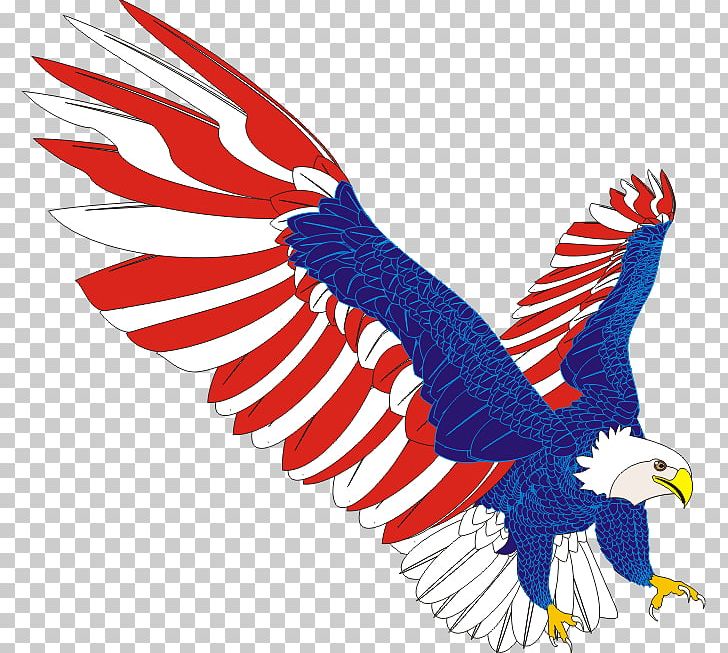 Flag Of The United States T-shirt American Eagle Outfitters PNG, Clipart, Accipitriformes, American Eagle Outfitters, Beak, Bird, Bird Of Prey Free PNG Download