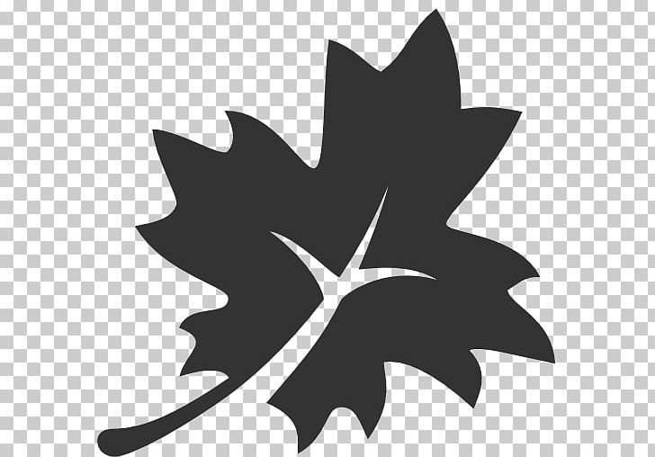 Japanese Maple Maple Leaf Computer Icons PNG, Clipart, Apple Icon Image Format, Black And White, Computer Icons, Favicon, Files Free PNG Download