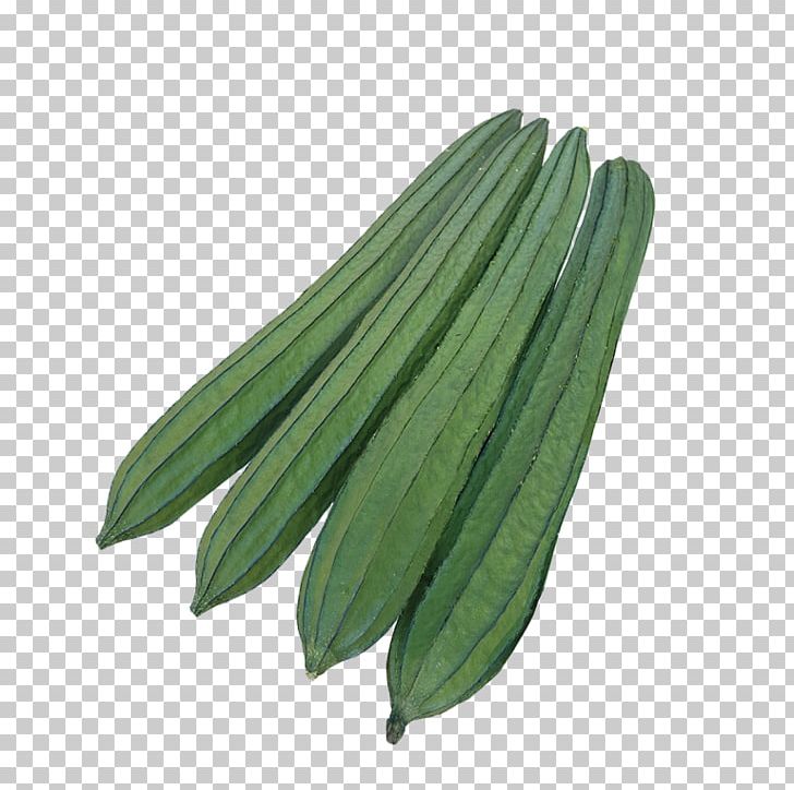 Luffa Cucumber F1 Hybrid Seed Symphony PNG, Clipart, Commodity, Cucumber, Cucumber Gourd And Melon Family, F1 Hybrid, Fruit Free PNG Download