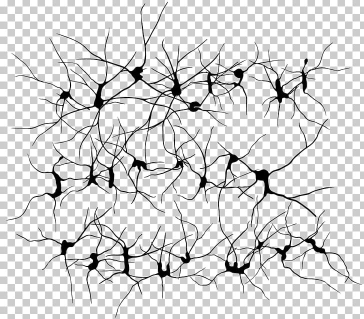 Neuron PNG, Clipart, Angle, Area, Art, Artwork, Black Free PNG Download