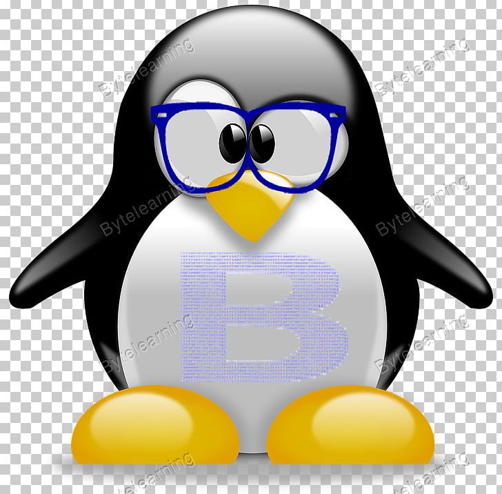 Penguin T-shirt Tuxedo PNG, Clipart, Beak, Bird, Bow Tie, Clothing Accessories, Computer Free PNG Download