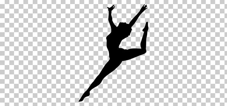 Ballet Dancer Silhouette Pole Dance PNG, Clipart, Animals, Arm, Ballet, Ballet Dancer, Black And White Free PNG Download
