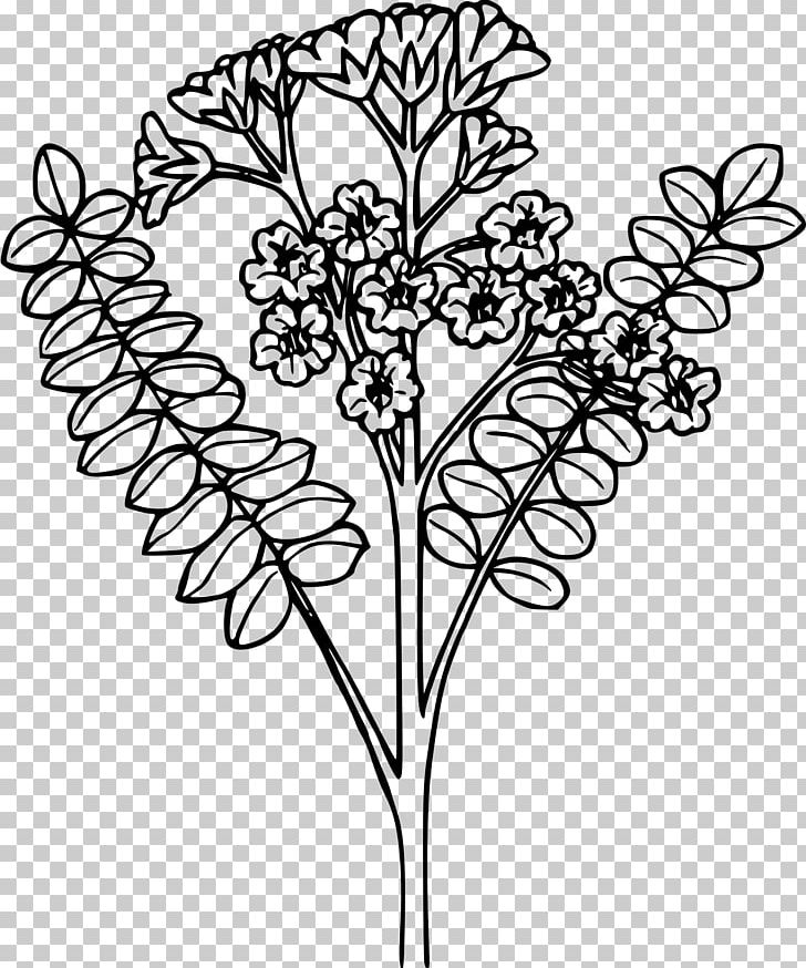 Drawing Line Art Jacob's Ladder Visual Arts PNG, Clipart, Art, Black And White, Branch, Cut Flowers, Drawing Free PNG Download