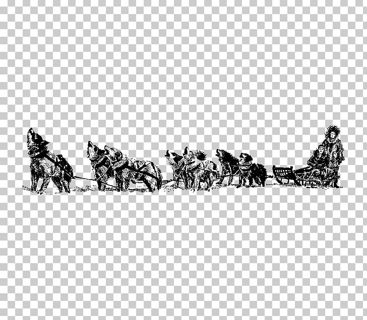 Siberian Husky Iditarod Trail Sled Dog Race Dog Sled PNG, Clipart, Alaskan Husky, Black And White, Carnivoran, Chariot, Coloring Page Free PNG Download